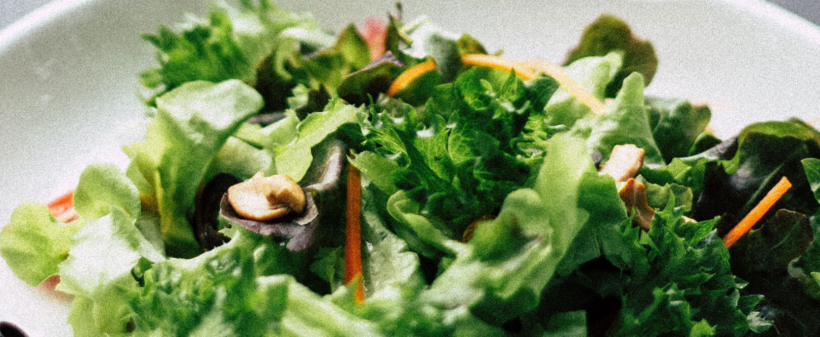 Basilico